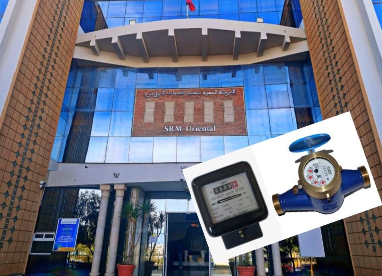 The East Multi-Service Regional Company explains the presentation of the introduction of modifications to the electricity bill