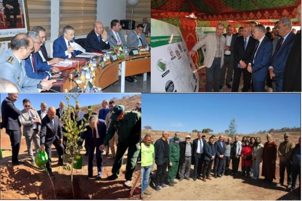 L'Agence Nationale des Eaux et Forêts lance officiellement un programme d’urgence pour restaurer et valoriser la forêt urbaine de Sidi Maafa à Oujda.