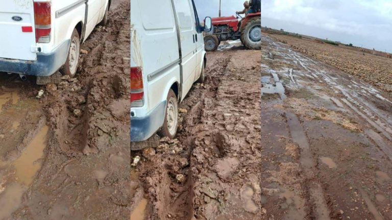 With the first drops of the Ghaith. Road trips in the province of Settat reveal their defect