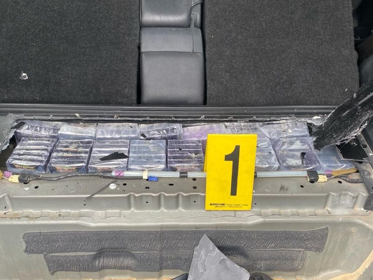 Devant from an international drug smuggling network and reserving more than a ton of "Shira" in Nador (photos)