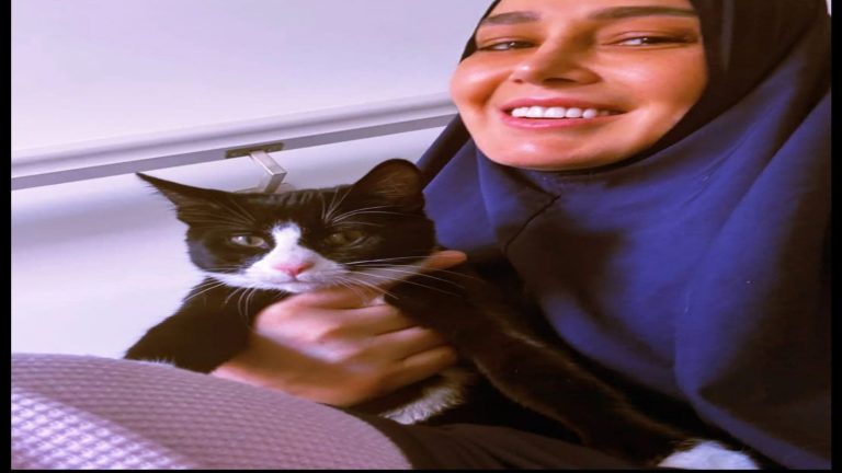 Hala Shiha again increases controversy after appearing in the veil (photos)