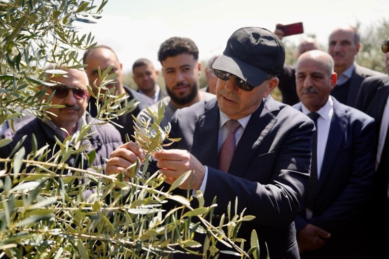 Follow the progress of the agricultural season. Al -Bouari visits the employment of Meknes and the Al -Hajeb region (photos)