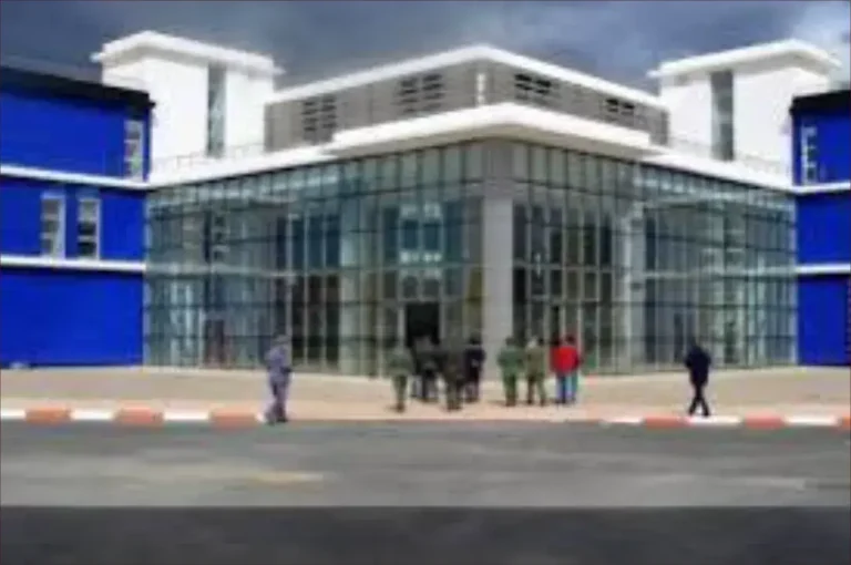 A tragedy at the Al -Dariush hospital .. the death of a woman during childbirth and the escape of her baby