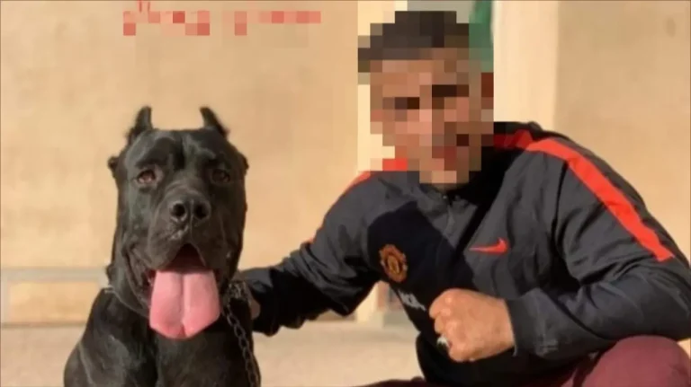 After escaping the police station. Marrakech Security stops the "visitor" drug trafficker