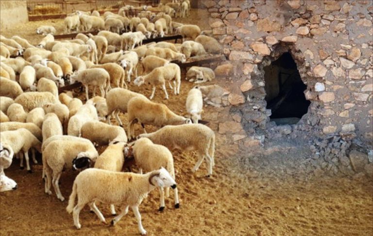 Al -Saragna Castle .. The "al -farashi" gangs mobilize the interests of the royal gendarmerie