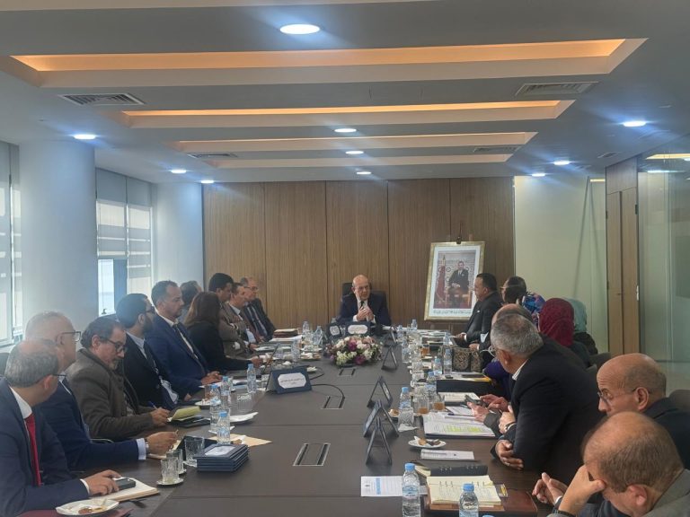 Dr. Abdeljabbar Rachidi chairs an advisory meeting on the services of the social protection support fund and social cohesion intended for people with disabilities
