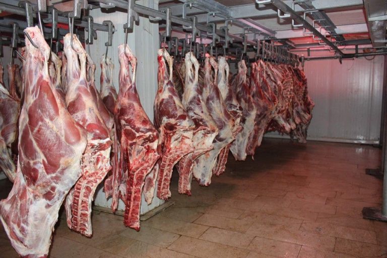 Fez .. a significant drop in red meat prices and a professional reveals the reasons (video)