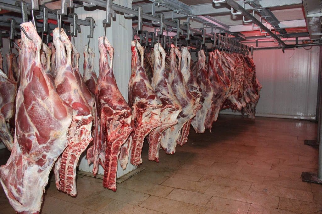Fez .. a significant drop in red meat prices and a professional reveals the reasons (video)