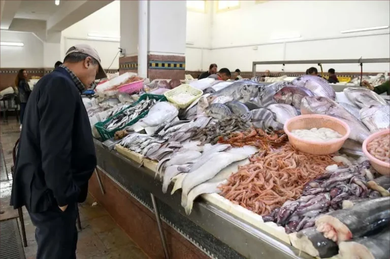 Fishing prices are gradually reduced and "noise" up to 6 dirhams in Casablanca