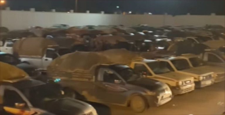 Green transport vehicles on the Ulezgane market and require civil servants to intervene