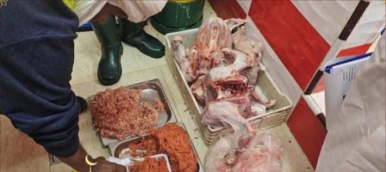 Laayoune .. reserve quantities of "corrupt" chicken before arriving at the stomach of consumers