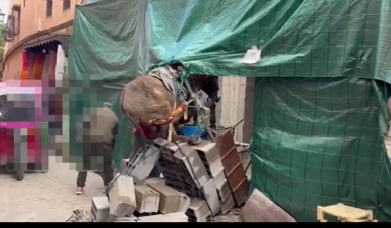Marrakech .. The image of "suspended" ass raises the compassion and anger of Facebook Moroccans