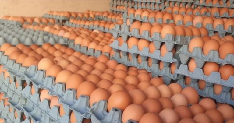Merchants and egg distributors: "Like 3 centimeters in a egg"