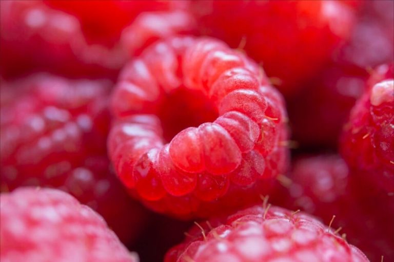 Morocco strengthens its leadership in the export of fresh bays to the United Kingdom