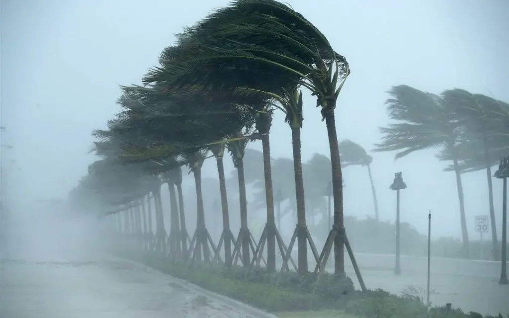 Public media are absent from the storm warning despite its seriousness