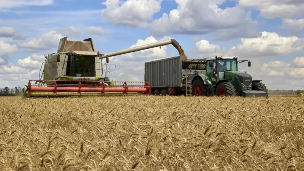 Russia stops the shipping of wheat directed to Morocco due to prohibited plant materials
