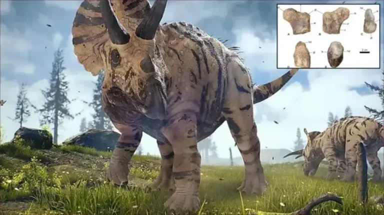Scientists discover the oldest dinosaur of the "Serapuda" family in Morocco