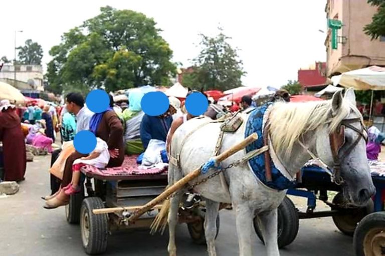 Sidi Bennour .. The authorities confiscated a "krouila" that the owner made fun of transporting citizens