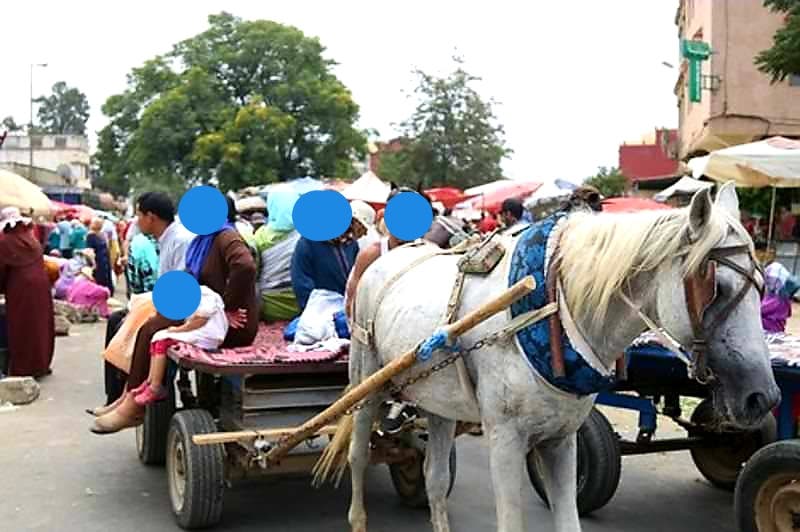 Sidi Bennour .. The authorities confiscated a "krouila" that the owner made fun of transporting citizens