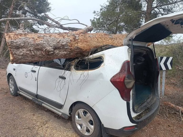 Strong winds drop a tree on the "taxi" in the azilale region
