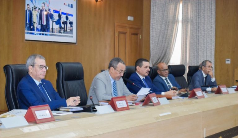 The Council of the Dakhla Valley Council approves a series of projects