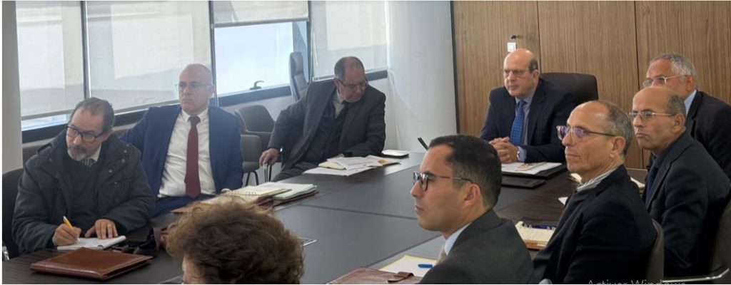 The Secretary of State for Social Integration presides over a presentation meeting and discussion of the project relating to the second national action plan for the promotion of the rights of people with disabilities 2025-2026.