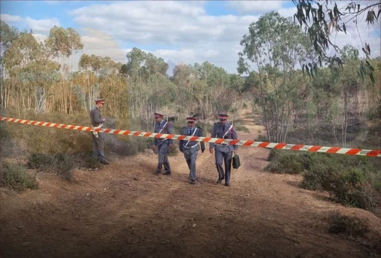 The gendarmerie of Al -Sawalem reserves a huge amount of medication in the new suburbs Al -Bir