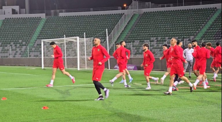 The national team is in the last training session before confronting Niger (photos)