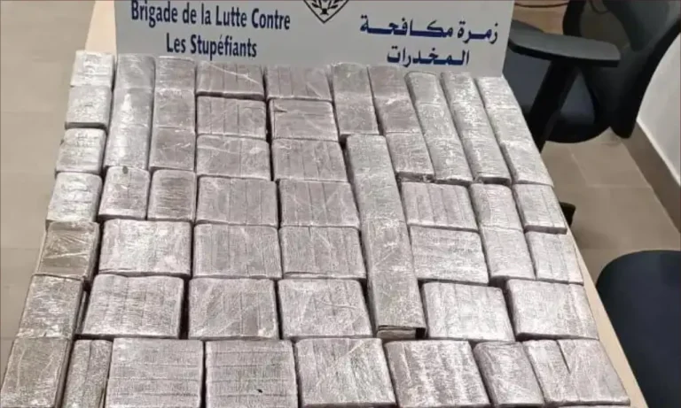 Thwart the smuggling of 26 kilograms of drugs in the port of Nador (photo)