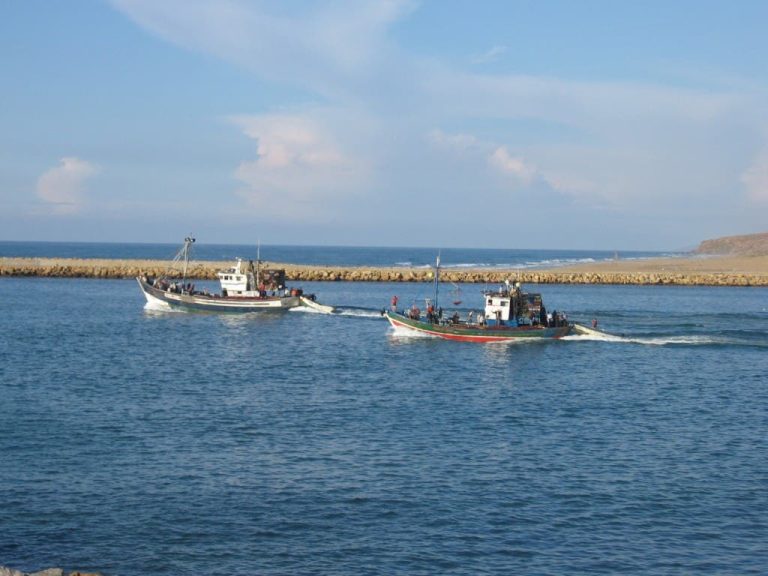 To protect marine life. Morocco takes 5 new naval reserves