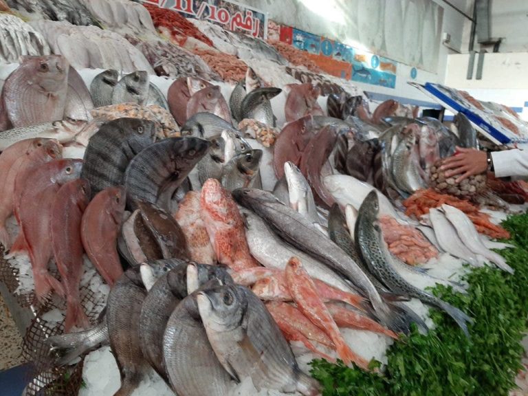 "Whale is a reasonable price". Marketing 2150 tonnes of frozen fish