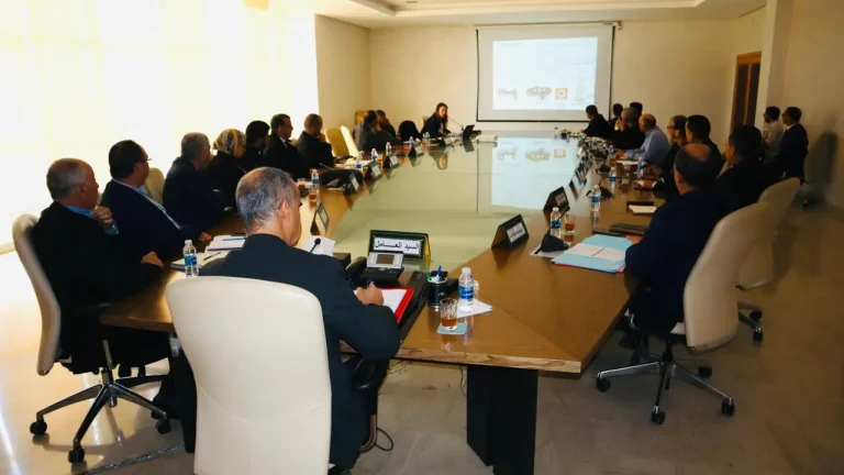 Jarsive employment .. an official meeting to accelerate the project to rehabilitate the north and eastern entrances of the city (photos)
