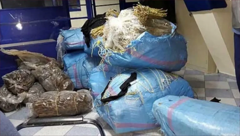 A security operation that thwarts the smuggling of tinnitus