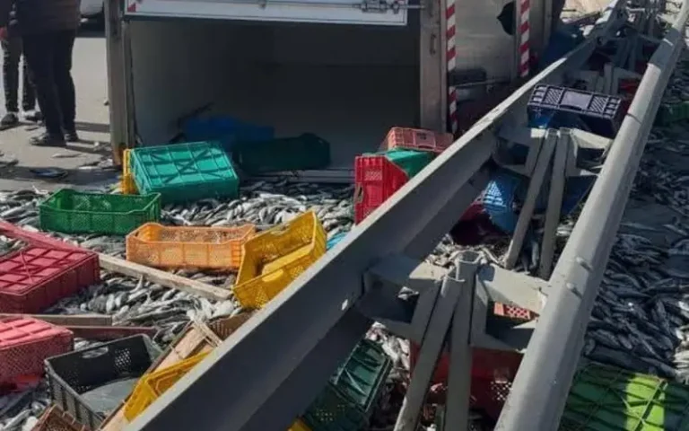A truck loaded with sardines in the Ain Al -Hosn region in the Tetouan region