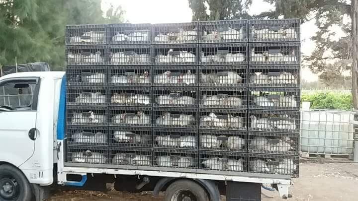 صورة تعبيرية