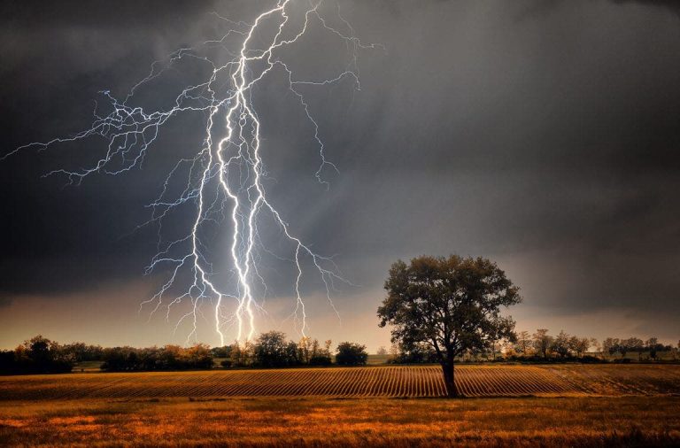 Al -Rahmanah .. a thunderbolt of lightning that leads to the life of a man and kills his bear in the group Al -ja`id