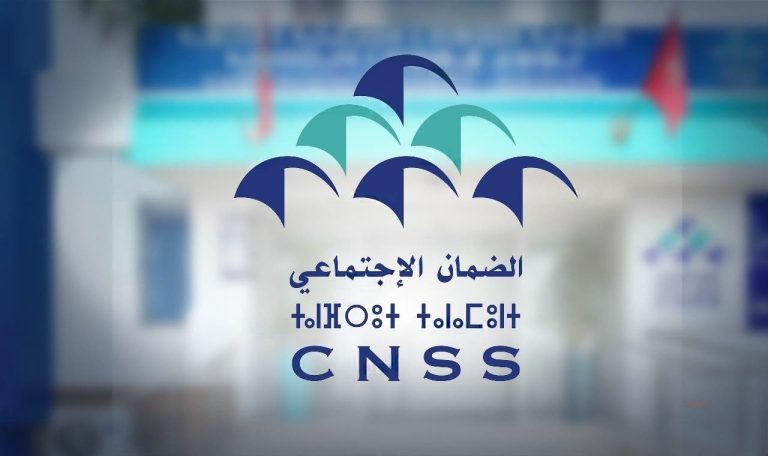 CNSS: Doculed documents have a deceptive and inaccurate character