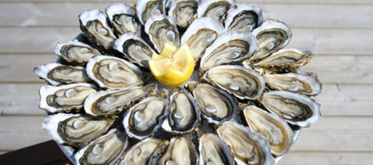 Dakhla : Levée de l’interdiction sur le ramassage et la commercialisation des huîtres et moules