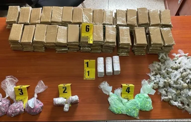 Marrakech .. Disassembly of a network for the promotion and reserve of drugs