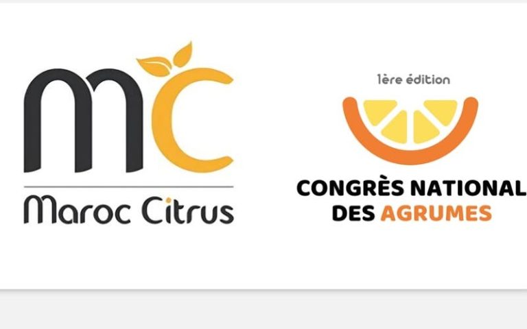 Marrakech embraces the first version of national acid