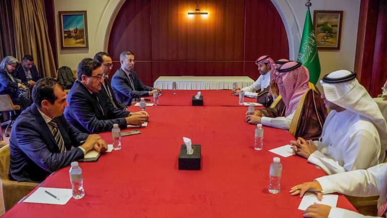 Morocco - Saudi Arabia: towards strengthening cooperation links in the field of transport