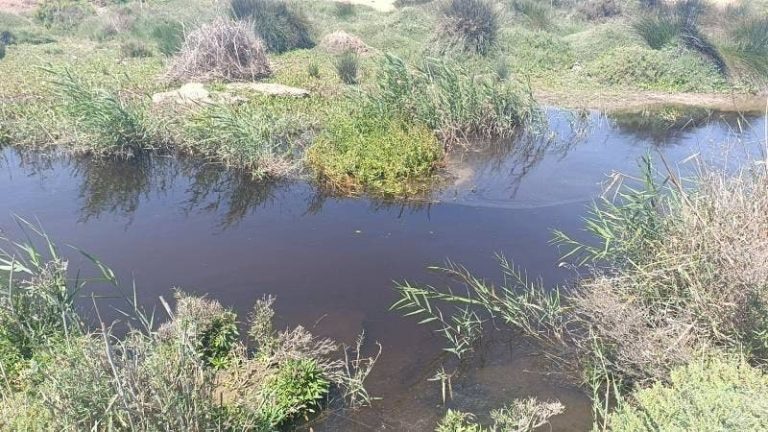 Nador: The perfumes of death fill the air