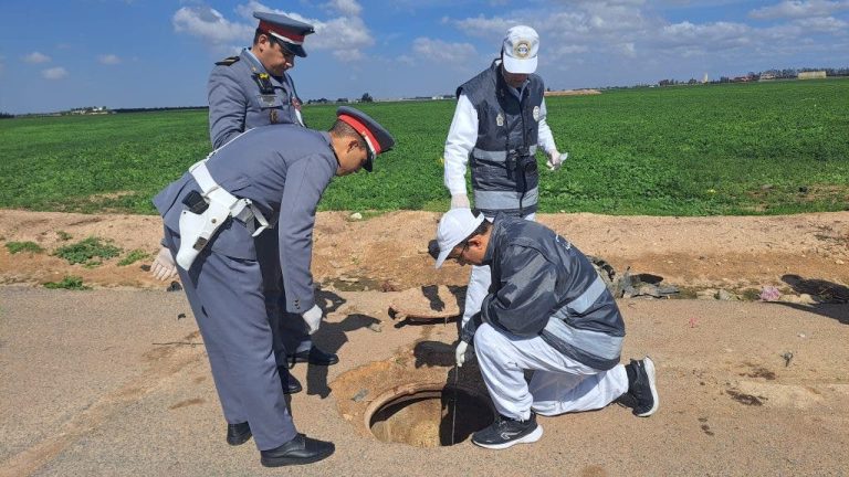 Ouarzazate .. find human bones and the order of the prosecutor to open an investigation