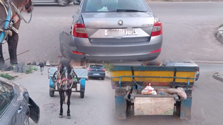 Settat and demonstrations of Bedouin .. "Croohela" inflicting heavy losses in a car