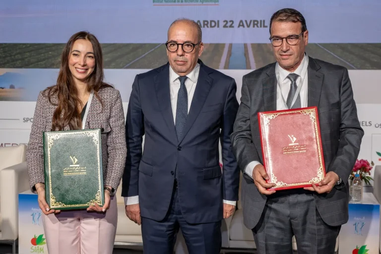Siam Meknes .. Launch of a strategic partnership to rehabilitate the series of oil cultures