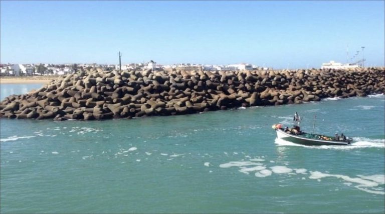 The fishing season, "swordfish", refreshes the port of Aseela in the middle of the door repair requests