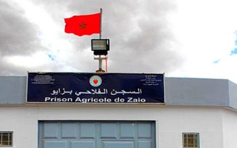 The guests of Zayo prison complain of "tragic" conditions ... and families require urgent intervention
