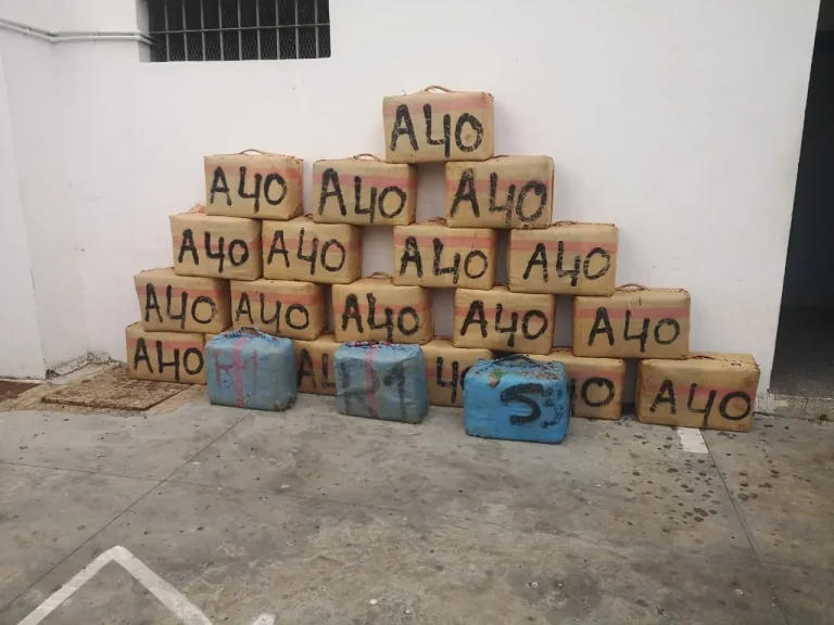 The new gendarmerie thwarts an enormous process of international drug trafficking