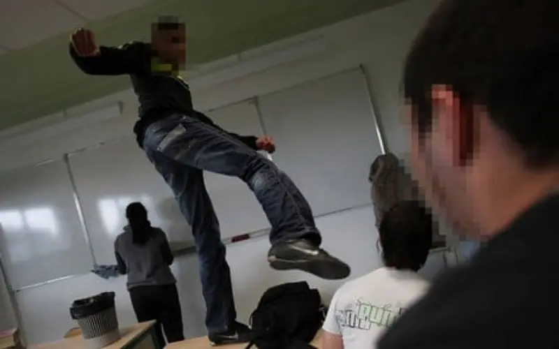 The phenomenon of school violence increases. Is it time to cancel the gardening note?