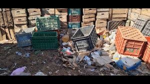 Inezgane .. vegetable professionals on the wholesale market have made a hit because of 